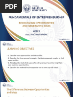 Fundamentals of Ent Week 2