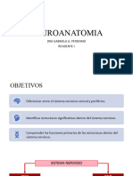 NEUROANATOMIA