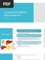 Lipogénesis, Lipólisis, Beta Oxidación BIOQUÍMICA