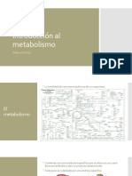 Introducción Al Metabolismo BIOQUÍMICA