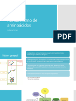 Clase 13 Metabolismo de Aminoácidos BIOQUIMICA