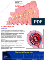 CLASEN1 Embriologia