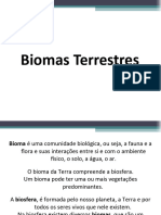 Domínios Morfoclimaticos Brasil