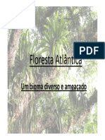 Floresta