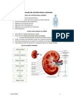 Fisio T - Folleto Loaiza 2do Parcial