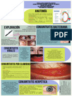 Trastornos de La Conjuntiva 4