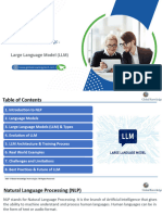 Large Language Model (LLM) 1