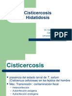 Cisticercosis Hidatidosis