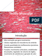 Biologia Tecidual Animal - Tecido Muscular