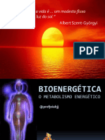 Bioenergética