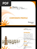 STTECorporate 11