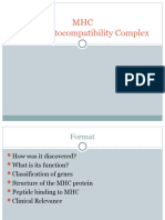 MHCbasicimmuno