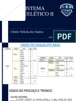 Sistema Esquelético II