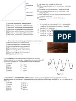 Tarea de Repaso para La Evaluación Semestral