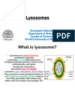 Lysosomes