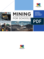 Economic Geography Coal Mining in South Africa