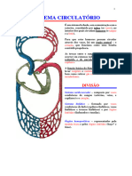 Anatomia de Órgãos e Sistemas