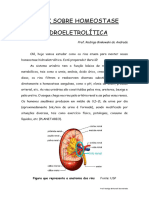 Ebook Homeostase Hidroeletrolitica