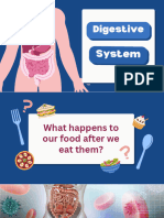 Digestive System