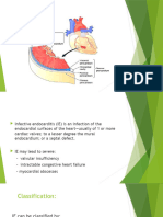 Endocarditis 1