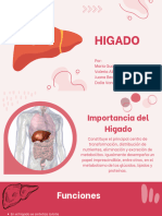 Higado