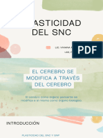 Plasticidad Del SNC