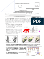 Ficha #03 Proceso de Hominización, Paleolítico y Neolítico