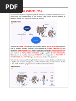 Estadística Descriptiva 1