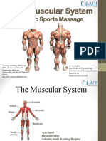 2 TheCompleteMuscular UL (2) (2) 19