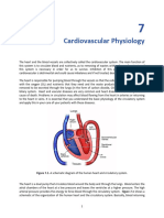 (MODULE) Experiment 7 - Cardiovascular Physiology