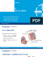 Urgencias Cardiovasculares