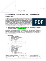 Rapport de Diagnostic