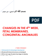 Anatomy Embryology Dent Changes in The 4th Week Fetal Membranes Causes of Congenital Anomalies