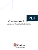 Construcciòn de Paz