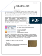 Estructura y Clasificación Bacteriana