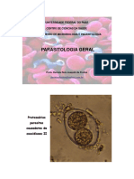 Aula 4a - Protozoarios Parasitas - Coccidioses 2