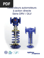 DRV DLV SB t06 002 FR