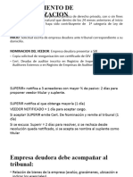 Procedimiento de Reorganizacion de La Empresa