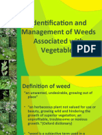 Identification and Management of Weeds Associated With Vegetables