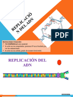 Replicacion Del ADN