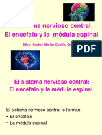 Anatomia Sistema Nervioso