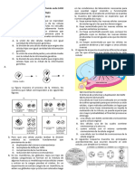 Quiz Reproducción Celular