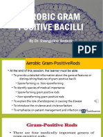 EVA Gram-Positive Bacilli