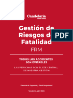 FRM Gestion de Riesgos de Fatalidad 2 Abril-1