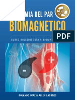 Anatomia Biomagnetismo