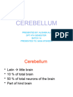 ALISHBA Cerebellum