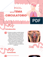 Sistema Circulatorio