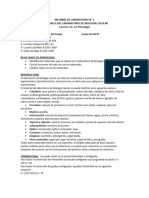 Informe de Laboratorio 1