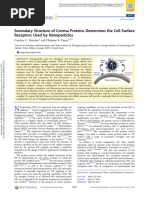 Secondary Structure of Corona Proteins Determines The Cell Surface Receptors Used by Nanoparticles