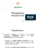 Bioquímica - Respiração Celular